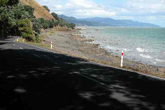 221entre Coromandel et Thames .JPG (reduit)